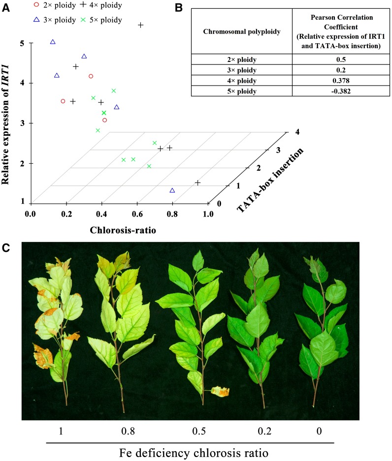 Figure 3.