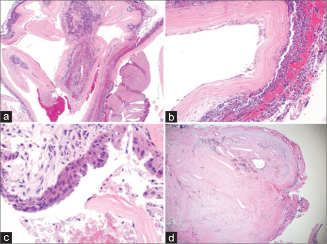 Figure 4: