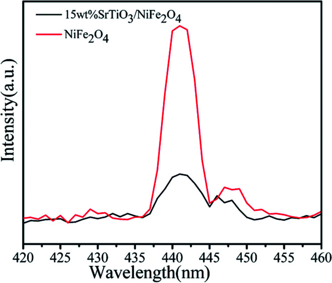 Fig. 10