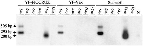 FIG. 5.