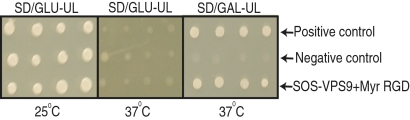 Fig. 5.