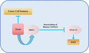 graphic file with name MCO2-4-e357-g007.jpg