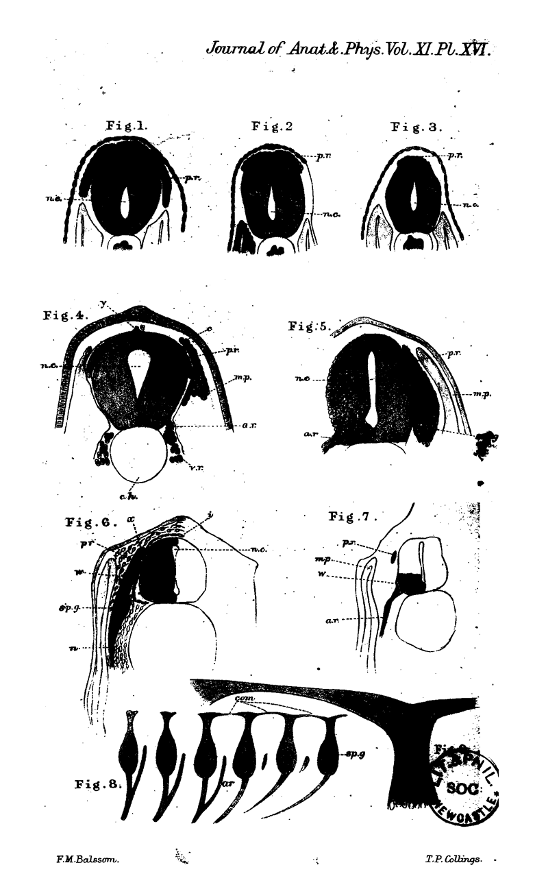 484-3