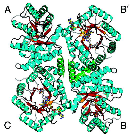 Figure 5