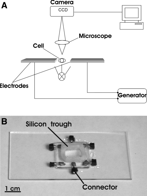 Fig. 1