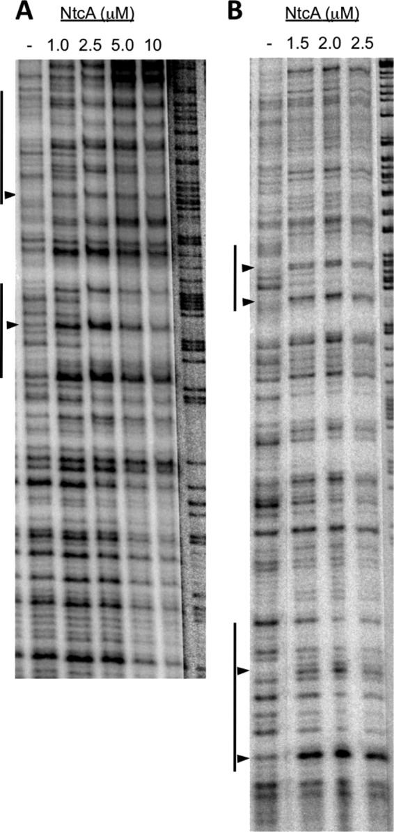 Fig 5