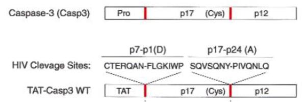 Figure 17