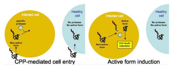 Figure 16