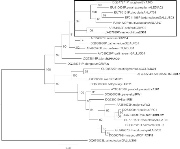 Fig. 2