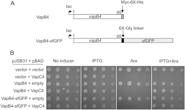 FIG 1