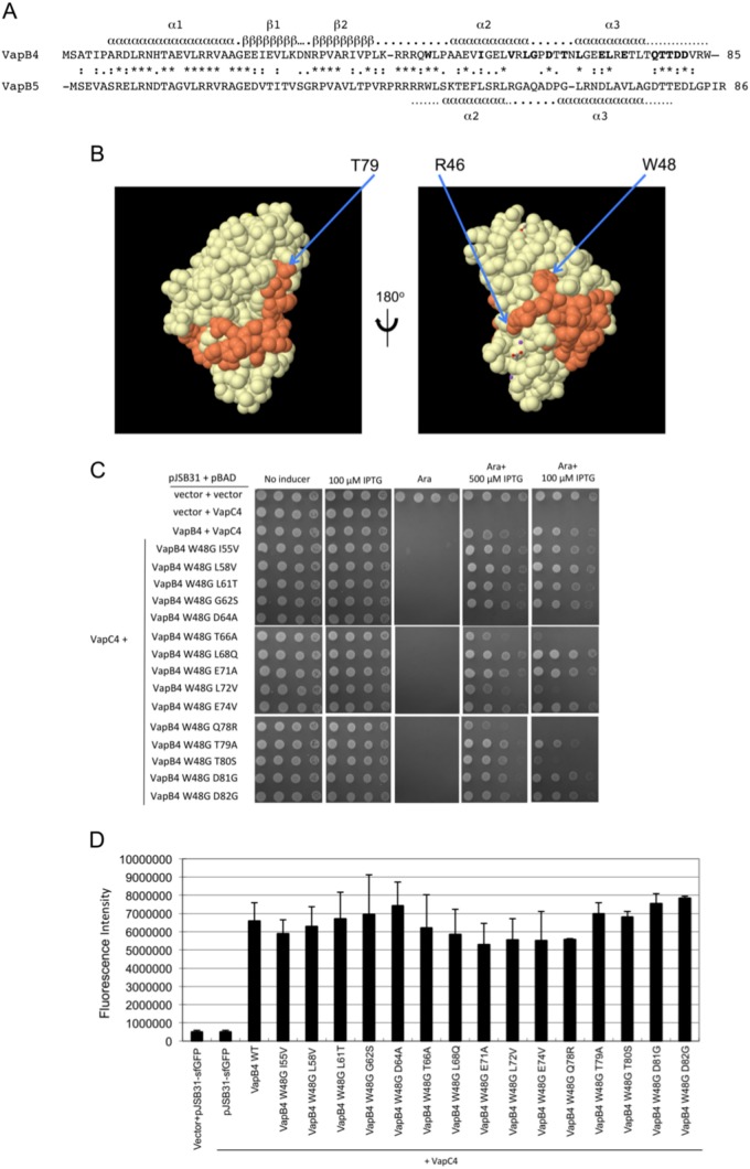 FIG 6