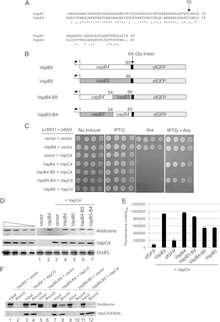 FIG 3