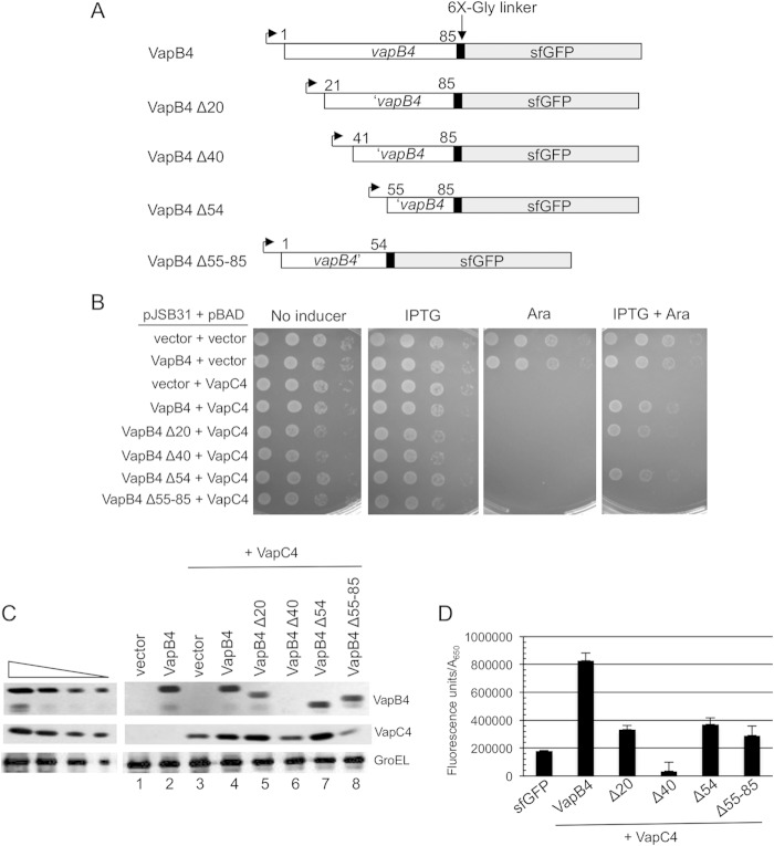 FIG 2