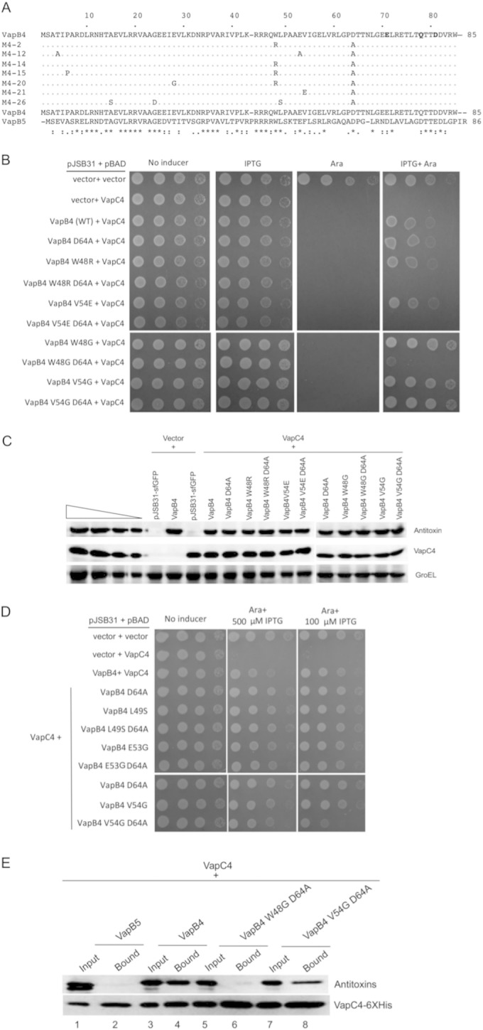 FIG 5