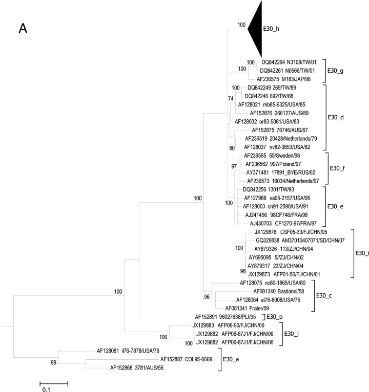 FIG 2