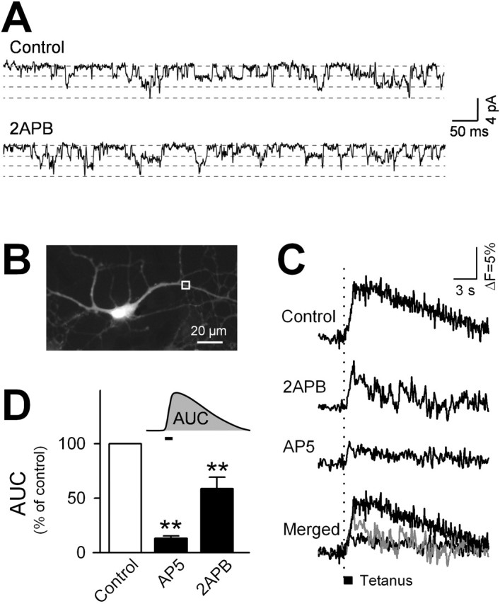 Figure 3.