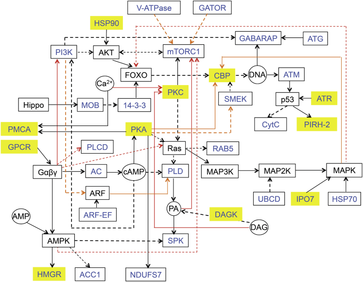 Figure 6