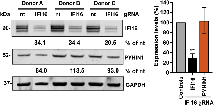 Figure 3