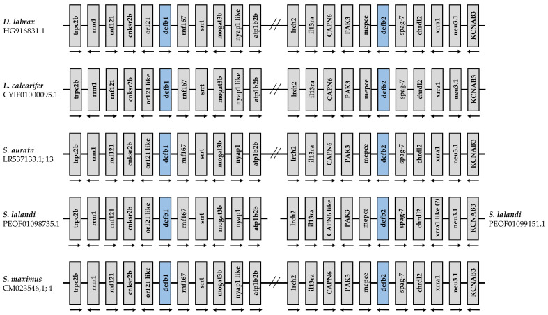 Figure 7