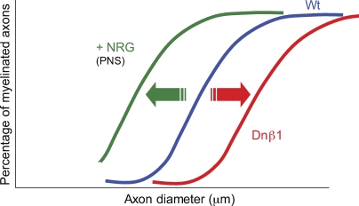 Figure 9.