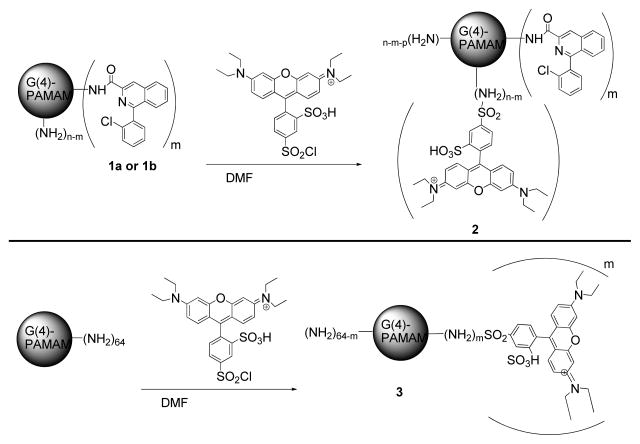 Scheme 2