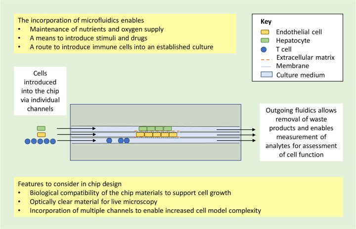 Figure 1.