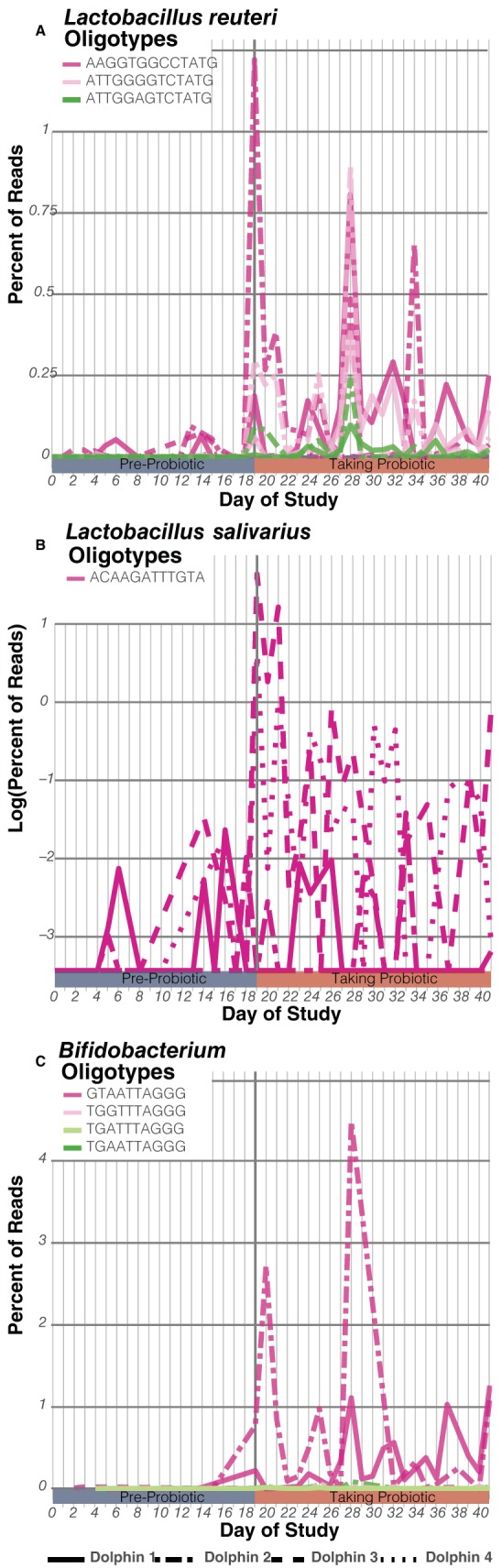 FIG 2 