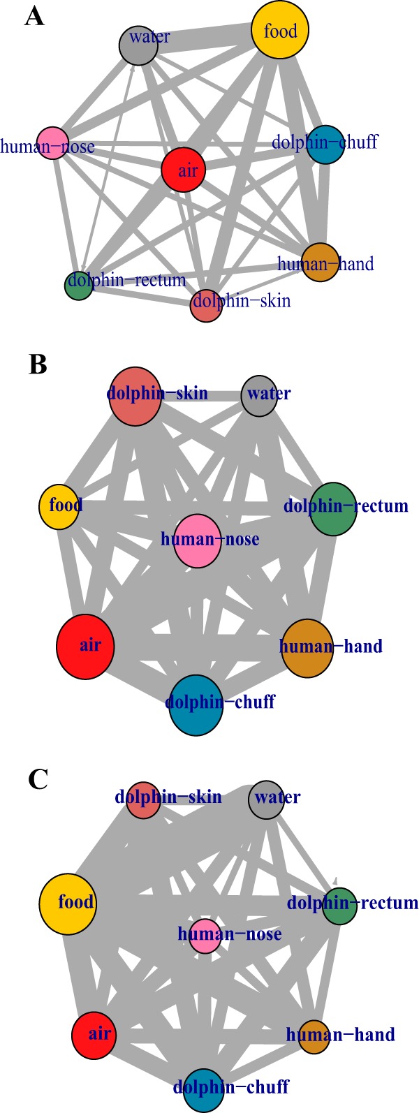 FIG 5 