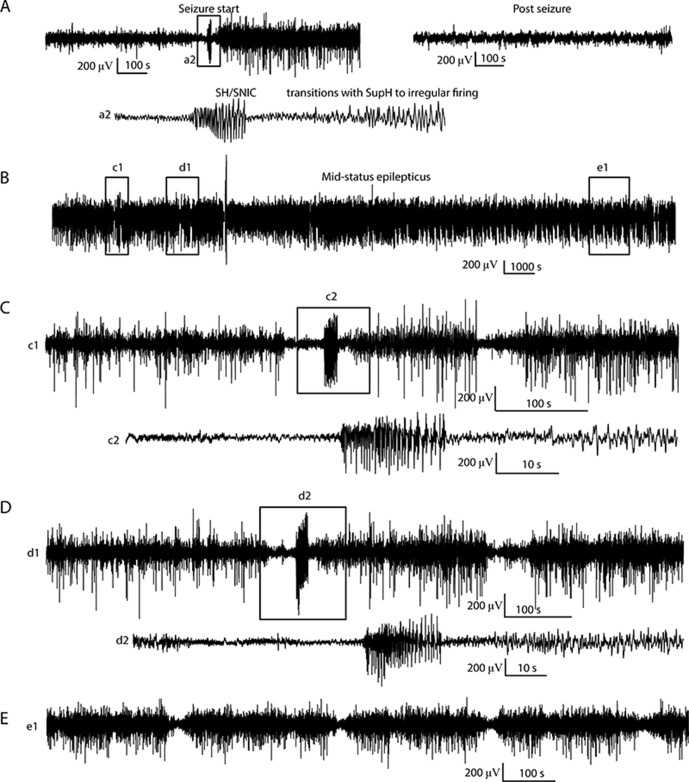 Appendix 1—figure 15.