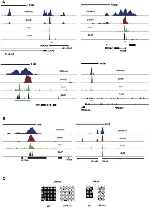 Figure 6