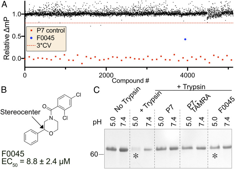 Fig. 2.