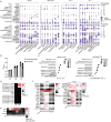 Extended Data Fig. 6