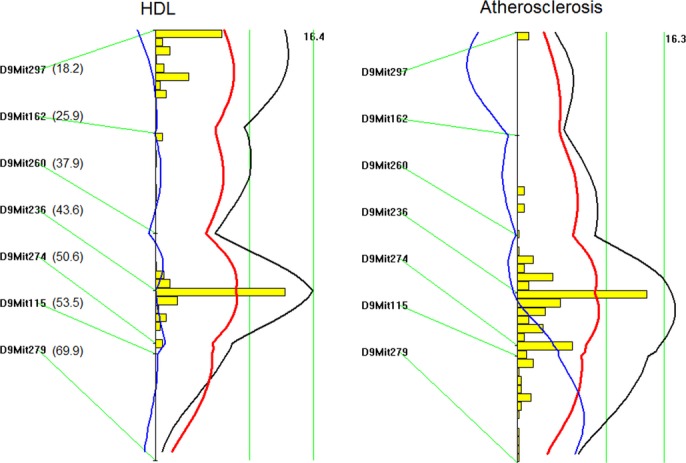 Figure 5.