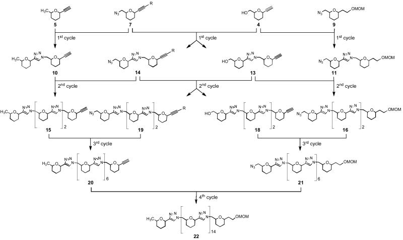 Scheme 1