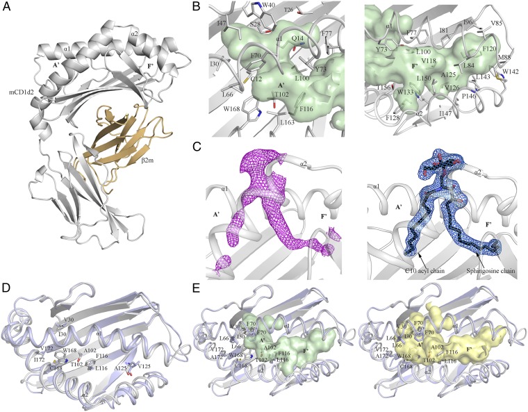 Fig. 4.