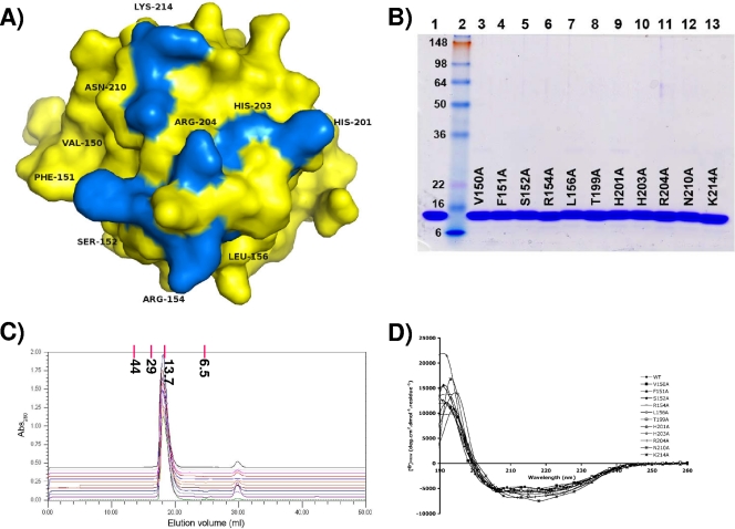 FIG. 3.