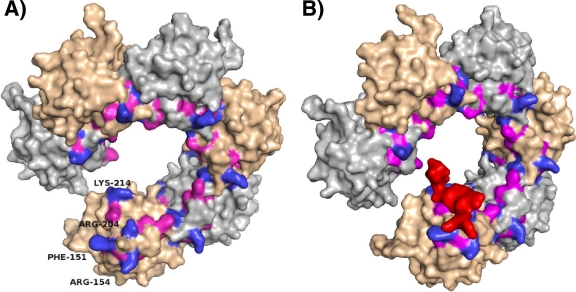 FIG. 8.