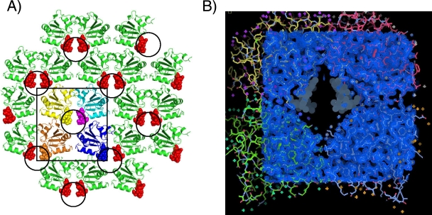 FIG. 2.