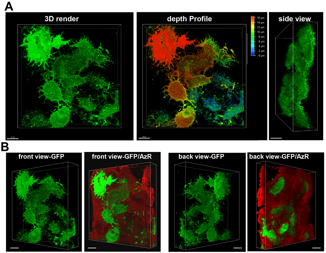 Figure 6: