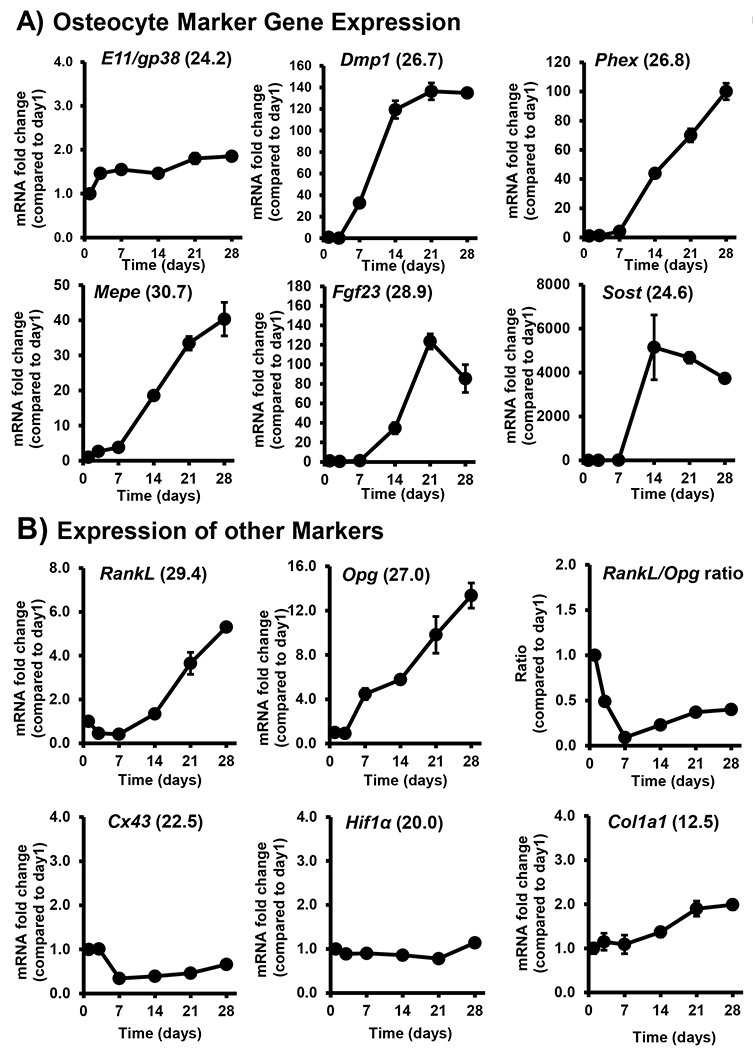 Figure 4: