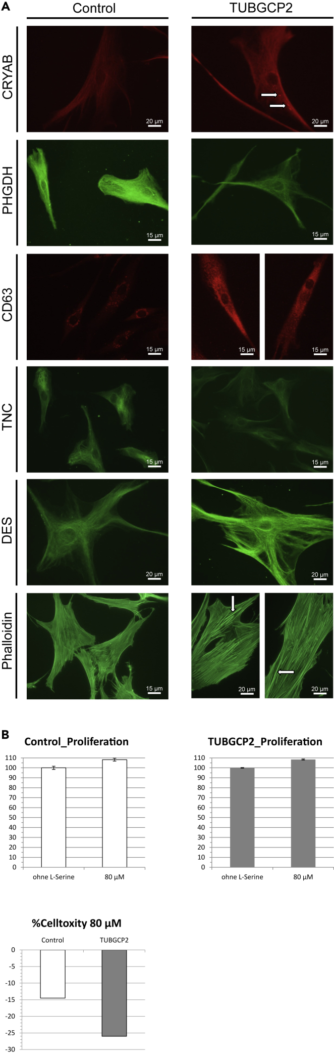 Figure 6