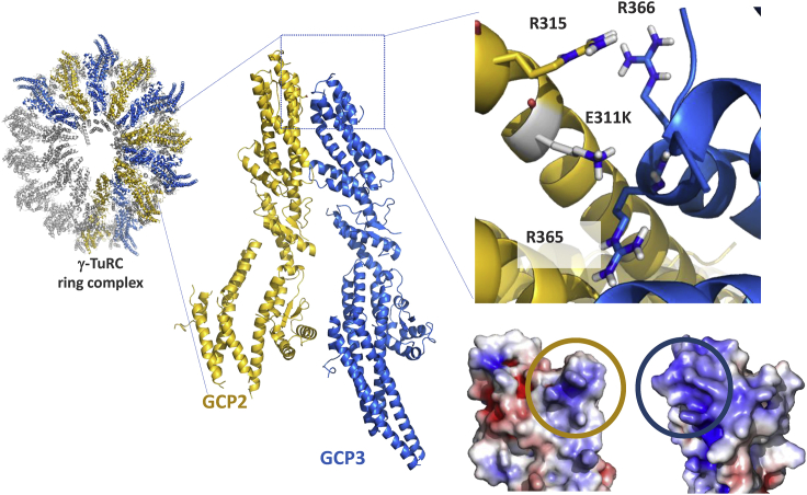 Figure 4