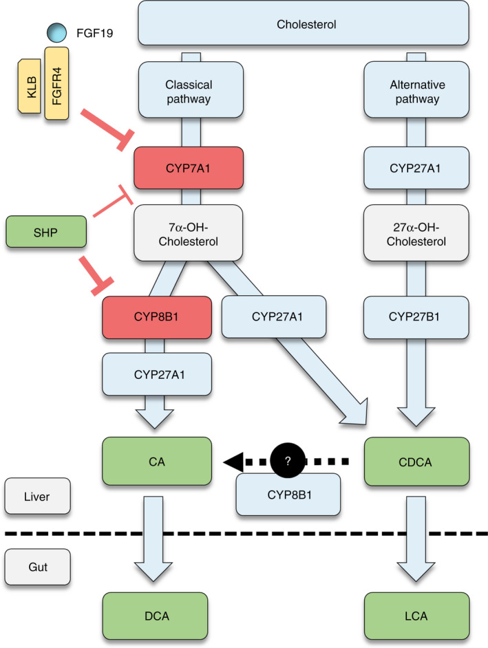 FIGURE 1