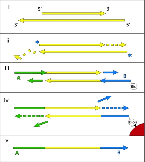 Fig. 1.