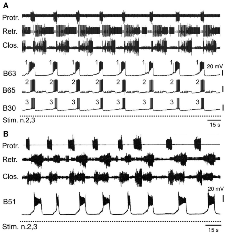 Figure 6