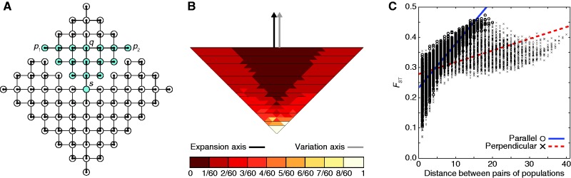 Fig. 7.