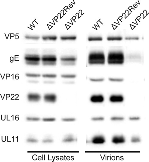 FIG 9