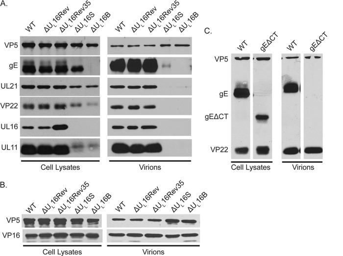 FIG 6