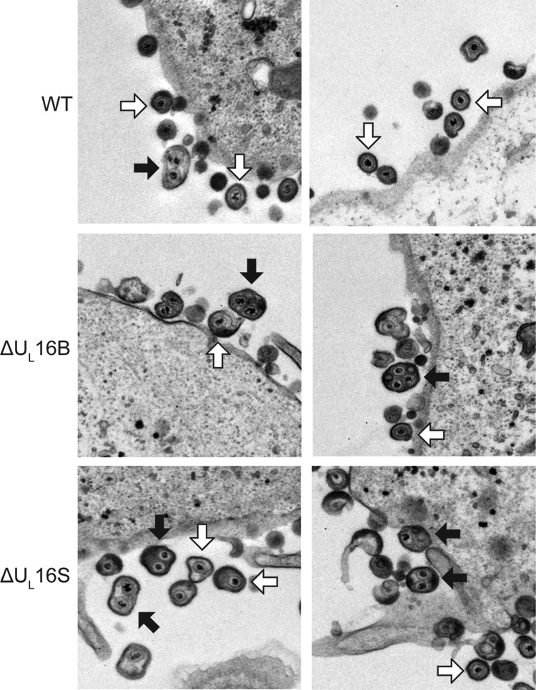 FIG 2