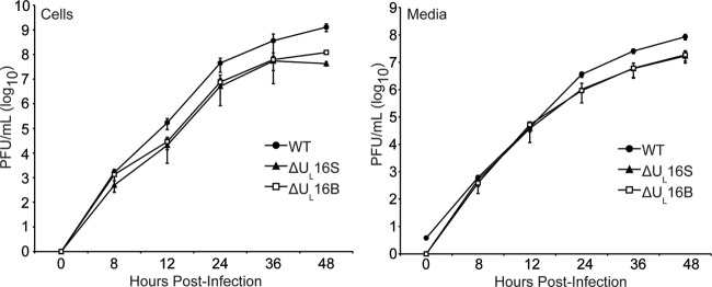 FIG 3